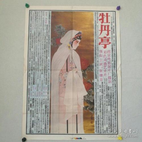 萨尼奥大学设计学位证